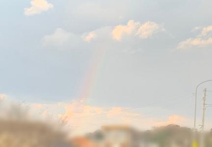 虹 - 画像3