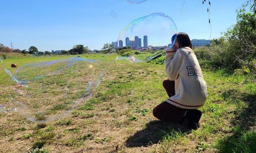 隠れたライオン - 画像2