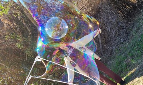 隠れたライオン - 画像3