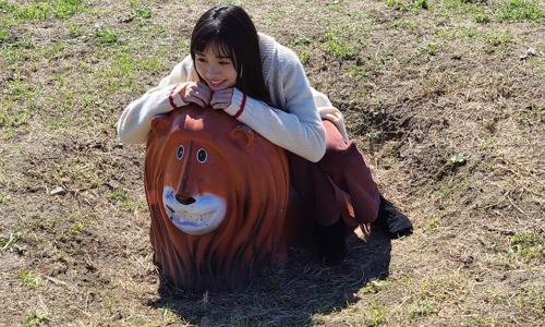 隠れたライオン - 画像4