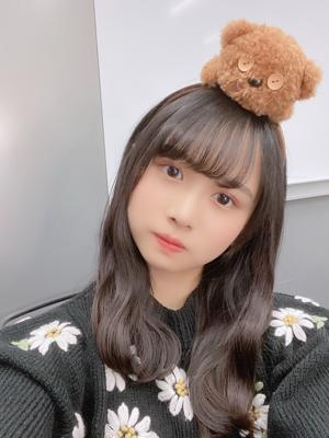 くまくま - 画像2