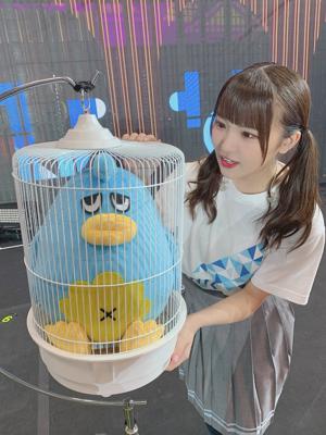 ひなくり2020🎄 - 画像3