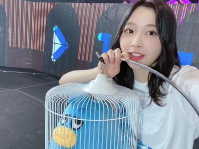 ひなくり2020、いかがでしたか🎅🏻? - 画像5