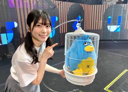 ~ひなくり2020🎅~ - 画像8