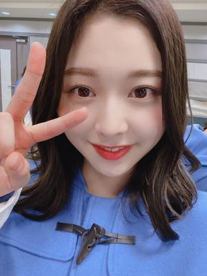 アルマジロのおしりさわりたい🐸 - 画像3