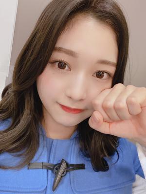 アルマジロのおしりさわりたい🐸 - 画像4