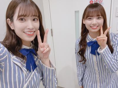 サウスバード - 画像5