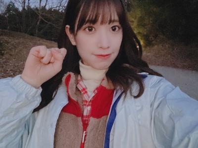 サウスバード - 画像6