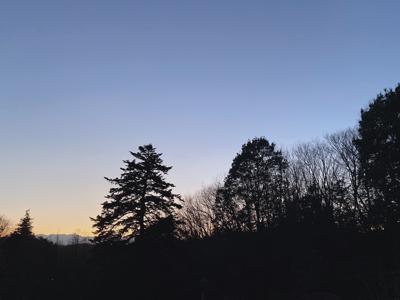 サウスバード - 画像7