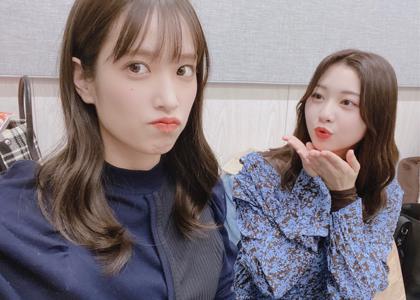 スコッチ - 画像9