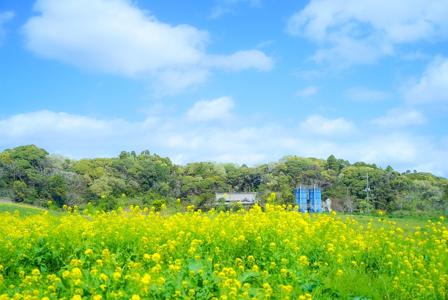 みくふぉと~MV編~ - 画像2