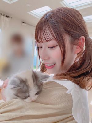 🐱 - 画像3