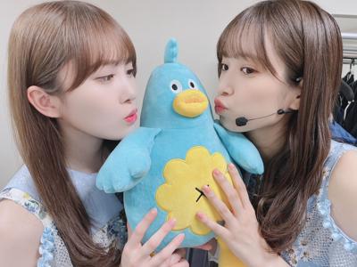 たくさんお知らせ(・ω・) - 画像4