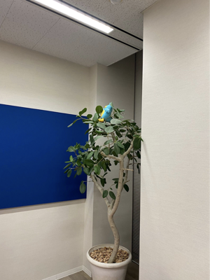もーそー - 画像2