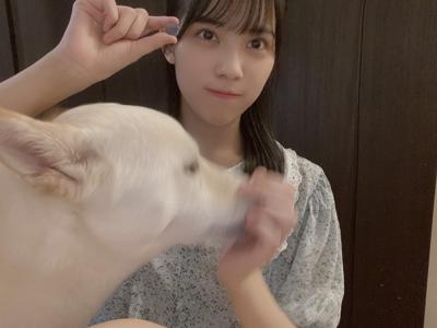 意外と些細なものから - 画像2