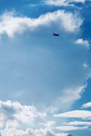 サマーフィルムにのって - 画像2