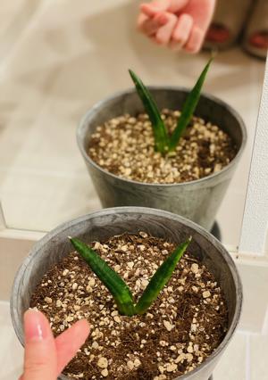 鉄は熱いうちに打て - 画像3