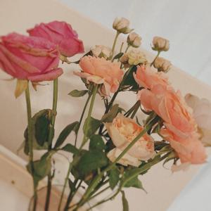 フラワー💐 - 画像4