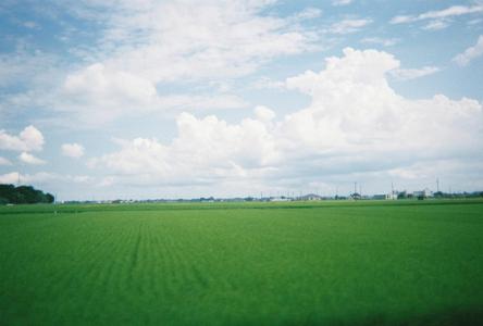 書く角描く - 画像3