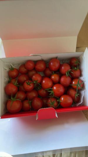 トマト🍅 - 画像2