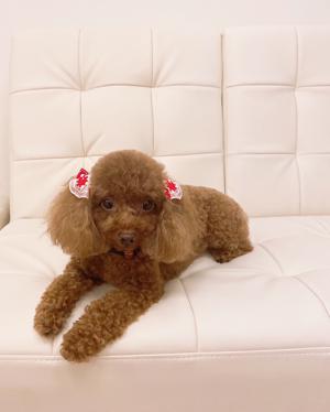 最近の濱岸ひより - 画像2