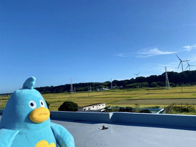 なんどでもなんどでも - 画像3