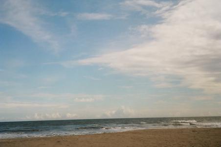 ナットー - 画像3