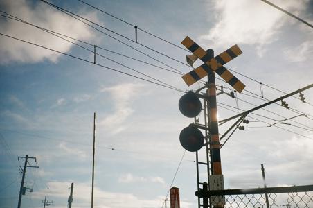 ナットー - 画像4