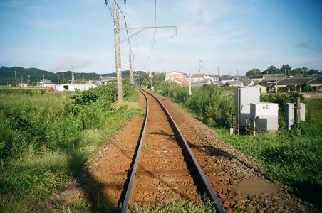 ナットー - 画像6