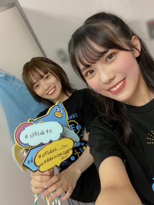 どなたか隠れられる穴ください - 画像4
