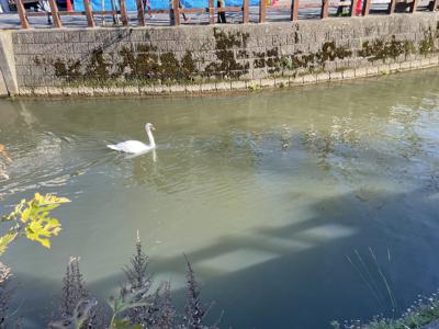 ~王様のブランチ~ - 画像5