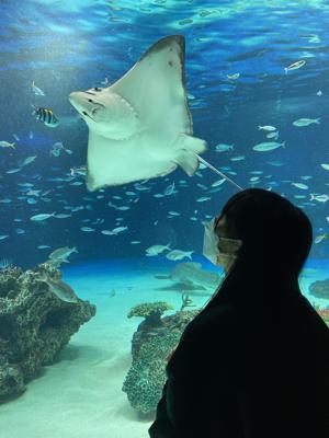 水族館🐠 - 画像2