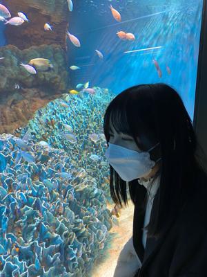 水族館🐠 - 画像3