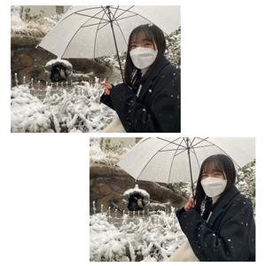 水族館🐠 - 画像4