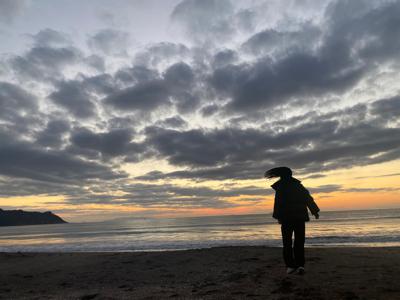 かずのこ - 画像9