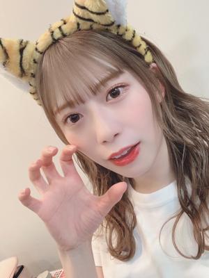 🐯 - 画像2