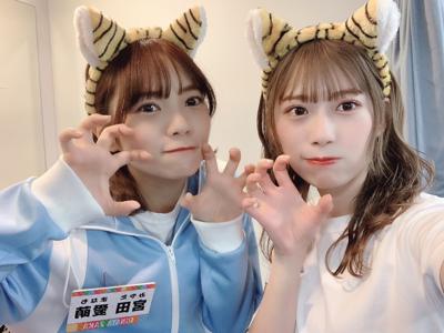 🐯 - 画像3