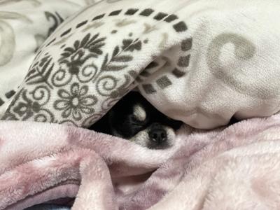 自己紹介😘 - 画像2