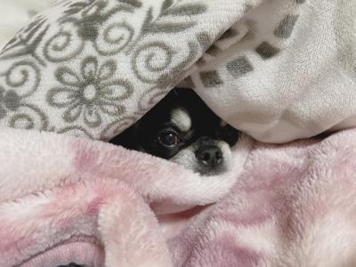 自己紹介😘 - 画像3