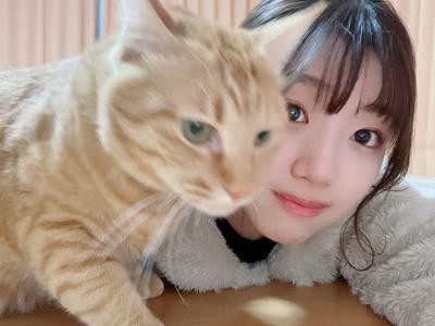 大好きな子たち🐈 - 画像2