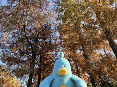 うつりこみたい - 画像3