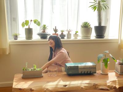 ( ¨̮ )>≡モンステラ - 画像3