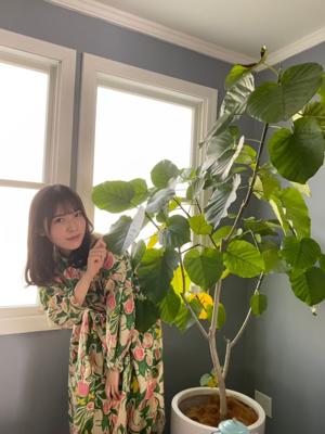 モンステラには出会えなかったけど、モンステラを育てられている方とはお話できました。 - 画像7