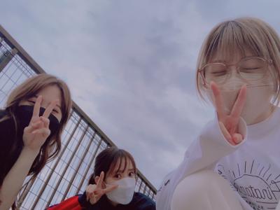 ✈️ - 画像3