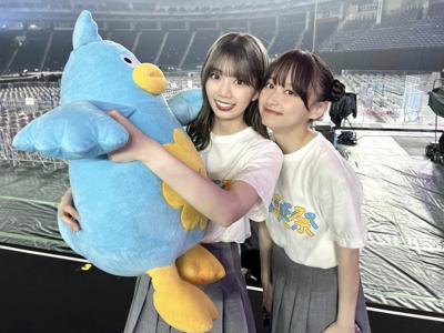 ポカなんか - 画像12