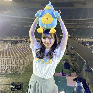 ポカなんか - 画像10