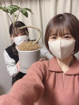 太陽のように輝く背中 - 画像2