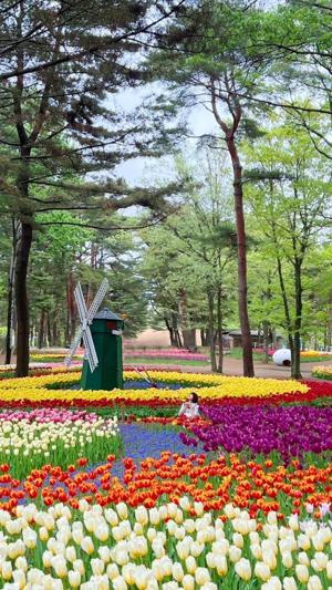 23歳初ブログ！SHOWROOM22時からに変更させていただきます、、🙇🏻‍♀️ - 画像4