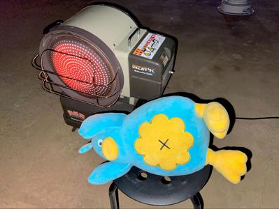 恋したポカは海を泳ぐ - 画像3