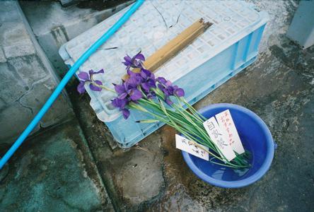 NEWニューヨークさん🇺🇲 - 画像3